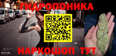 a pvp Будённовск