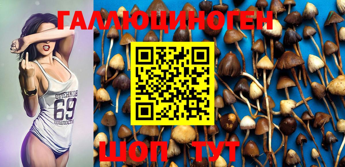 Темрюк  Псилоцибиновые грибы MAGIC MUSHROOMS  Вход с VPN 