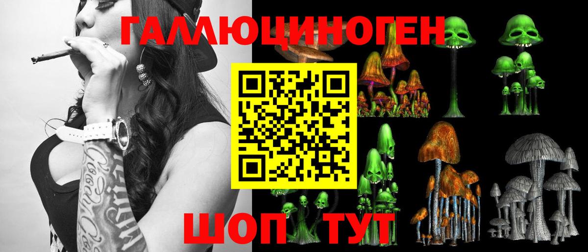 Галлюциногенные грибы Cubensis Темрюк